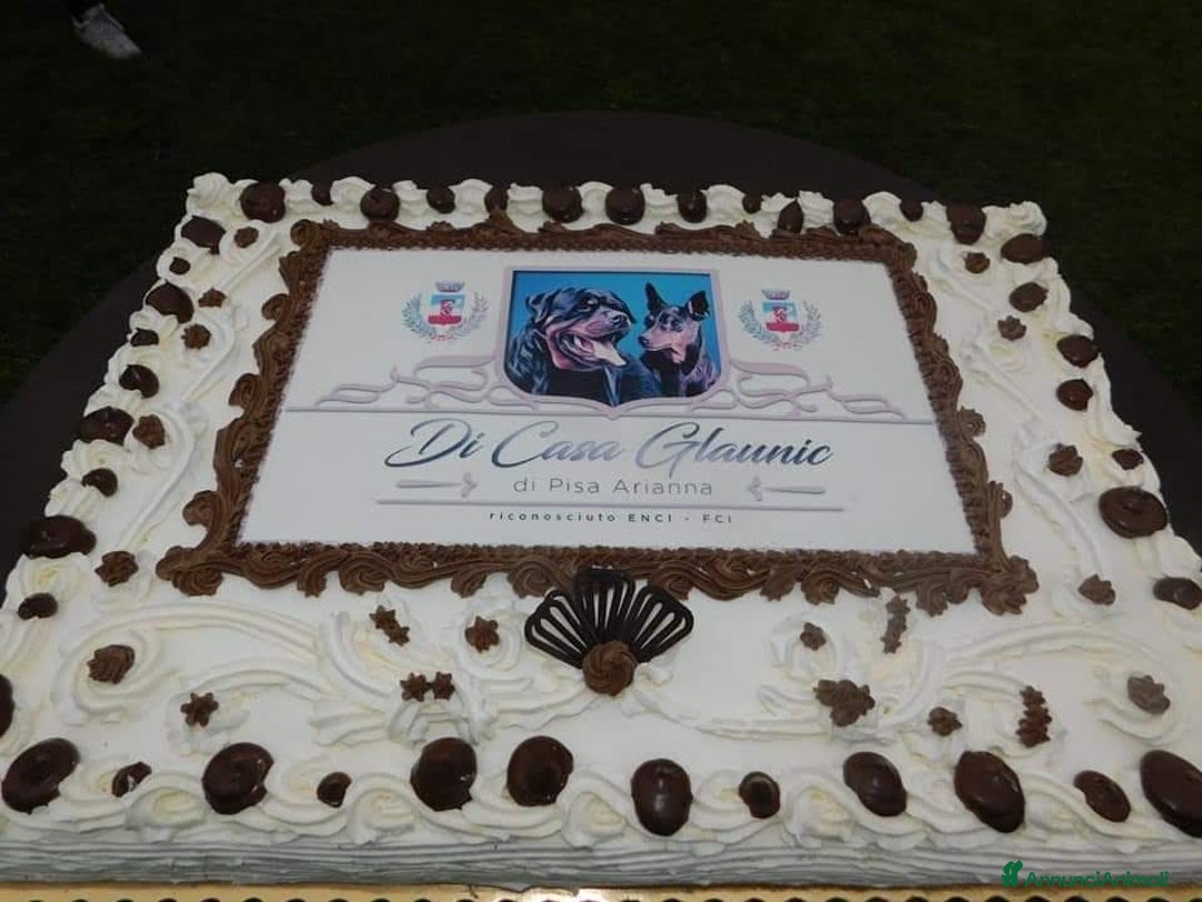 Immagine della galleria {{count}}