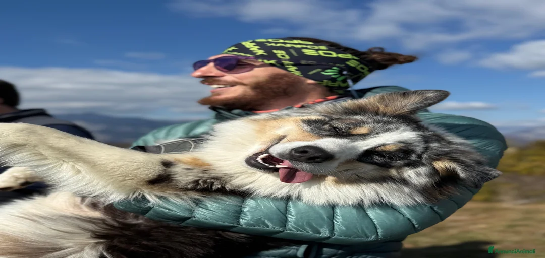 Immagine della galleria {{count}}