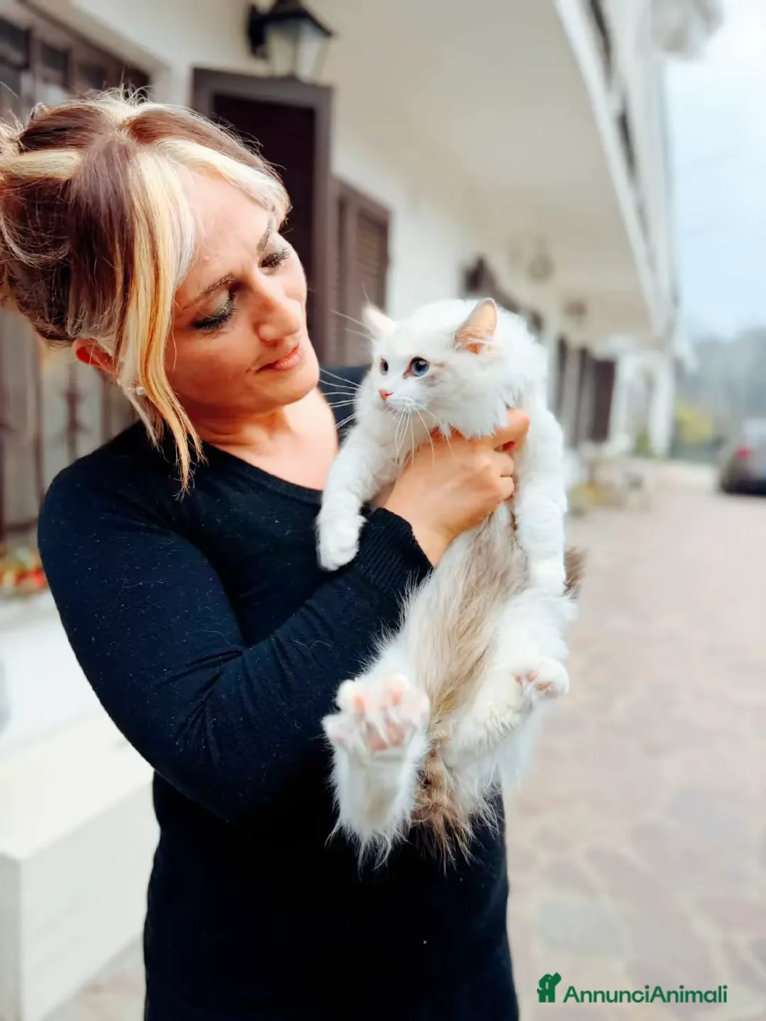 Immagine della galleria {{count}}