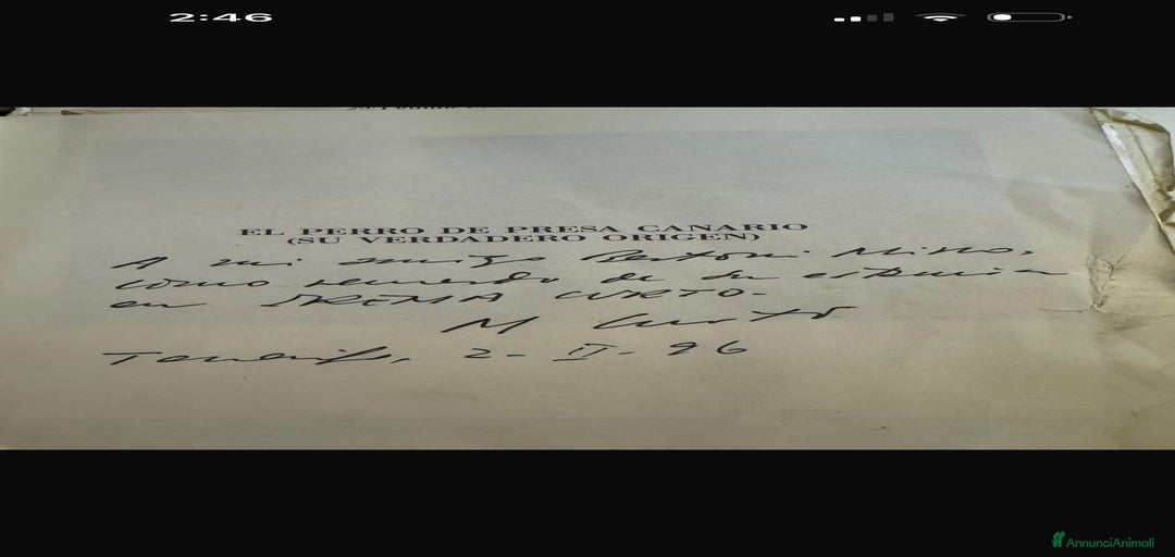 Immagine della galleria {{count}}