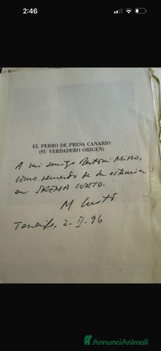 Immagine della galleria {{count}}