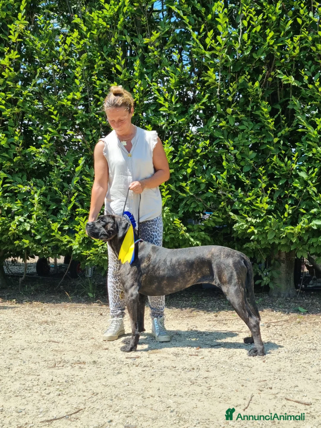 Immagine della galleria {{count}}