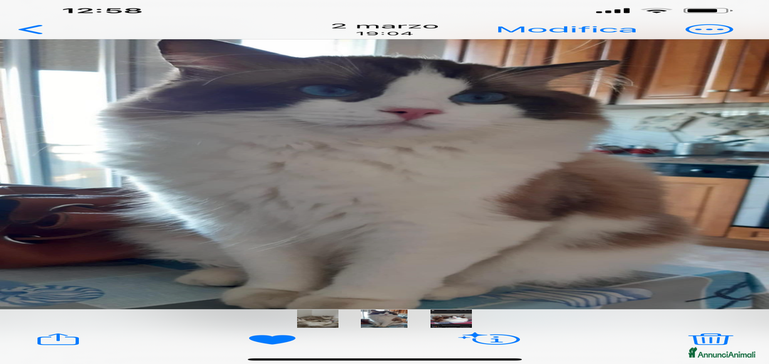 Immagine della galleria {{count}}