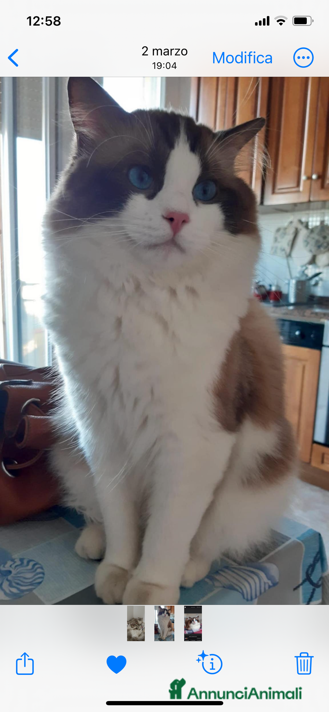 Immagine della galleria {{count}}