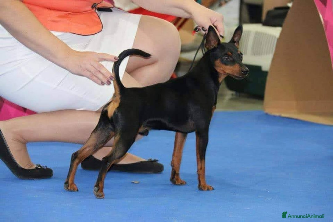 Immagine della galleria {{count}}