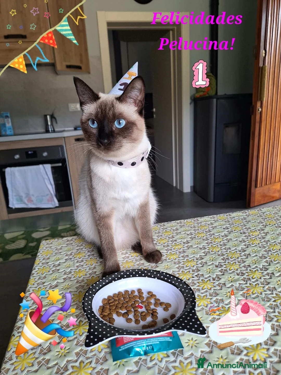 Thai gatti in vendita: Stupendi Thai - Annuncio 2