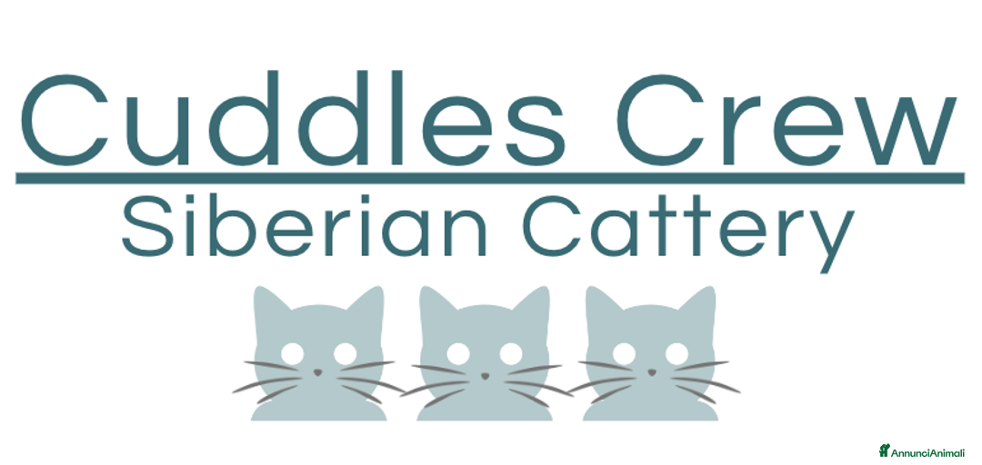 Immagine della galleria {{count}}