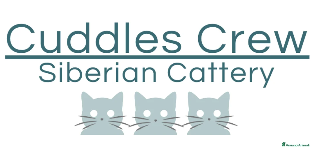 Immagine della galleria {{count}}