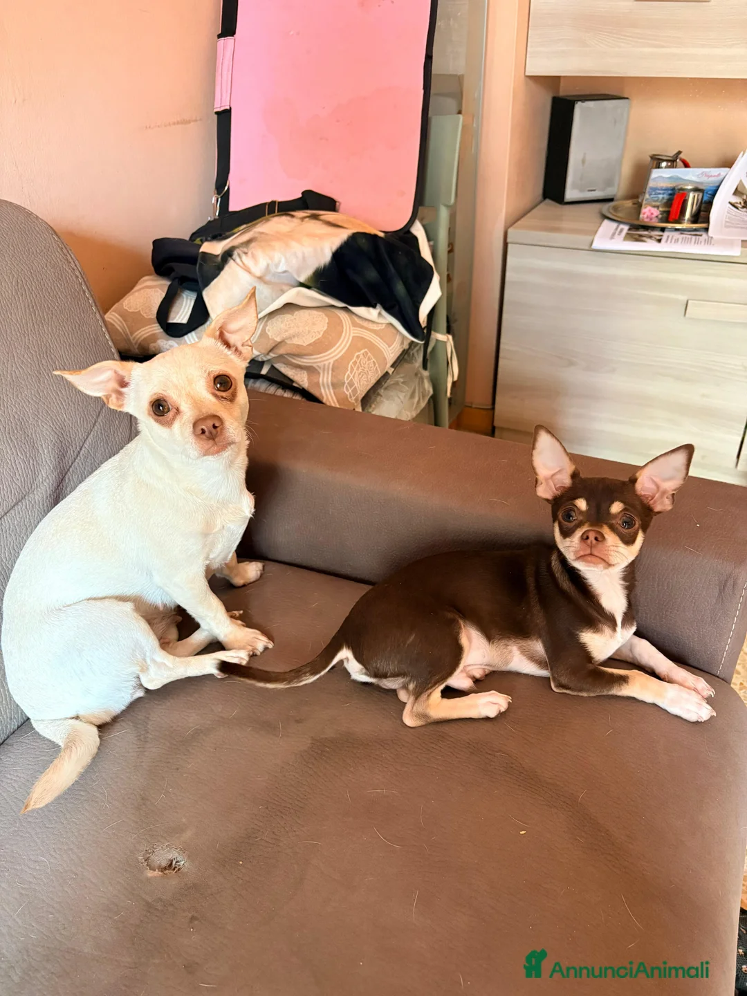 Immagine della galleria {{count}}