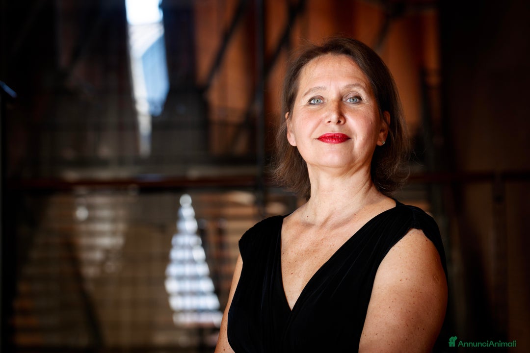 Immagine della galleria {{count}}