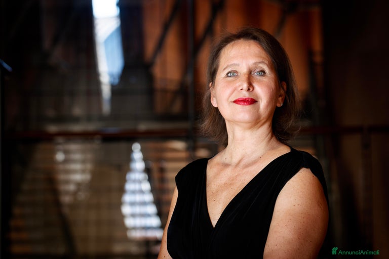 Immagine della galleria {{count}}