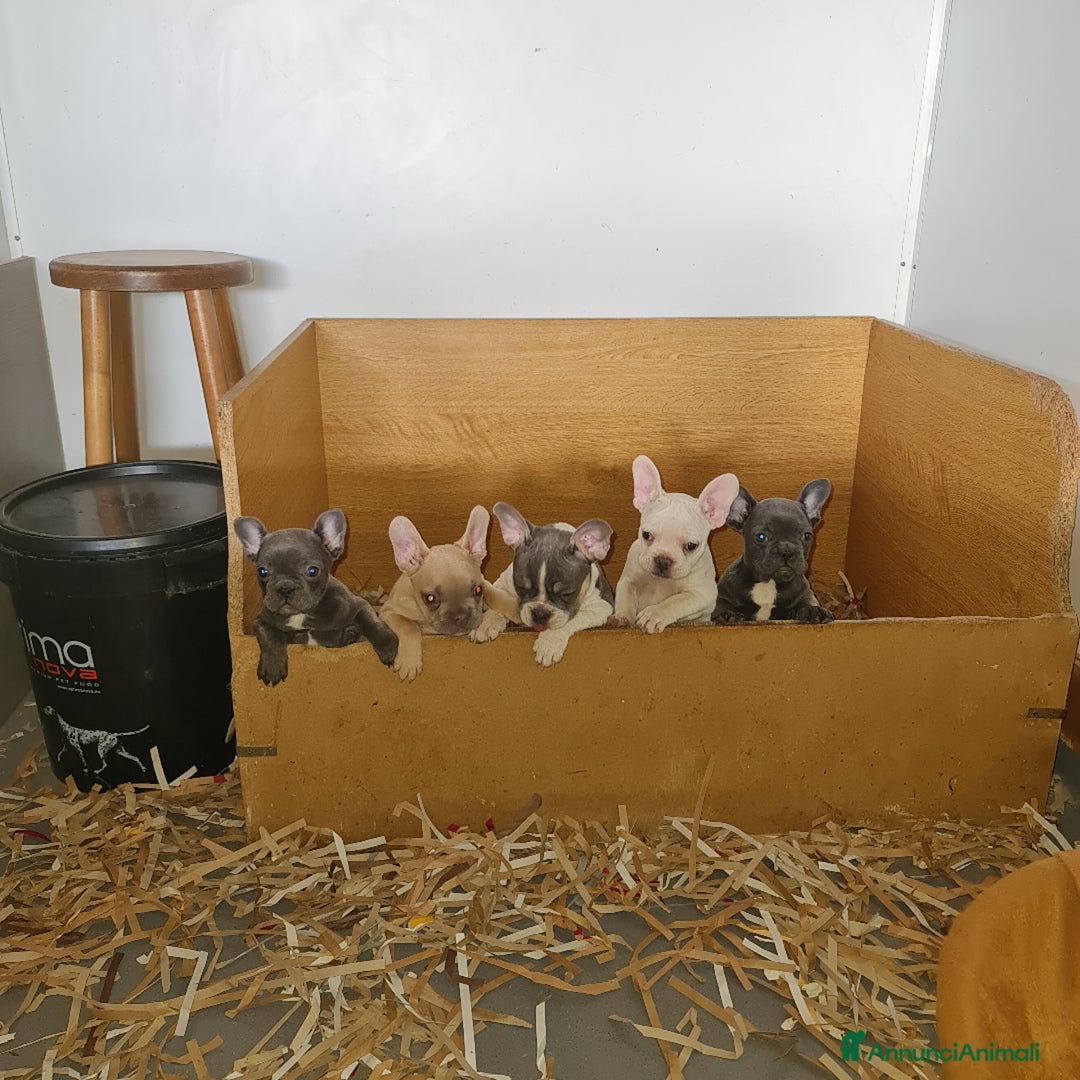 Immagine della galleria {{count}}