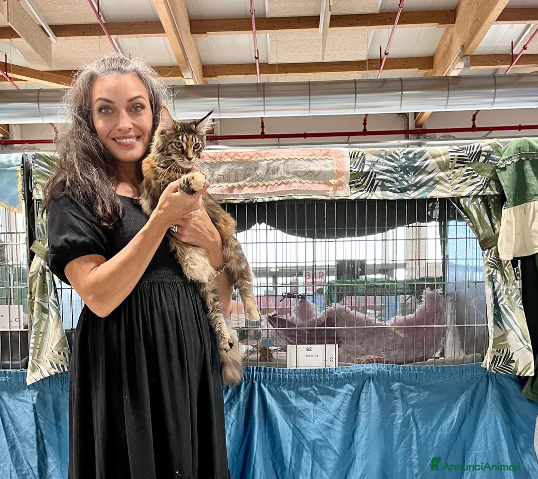 Immagine della galleria {{count}}