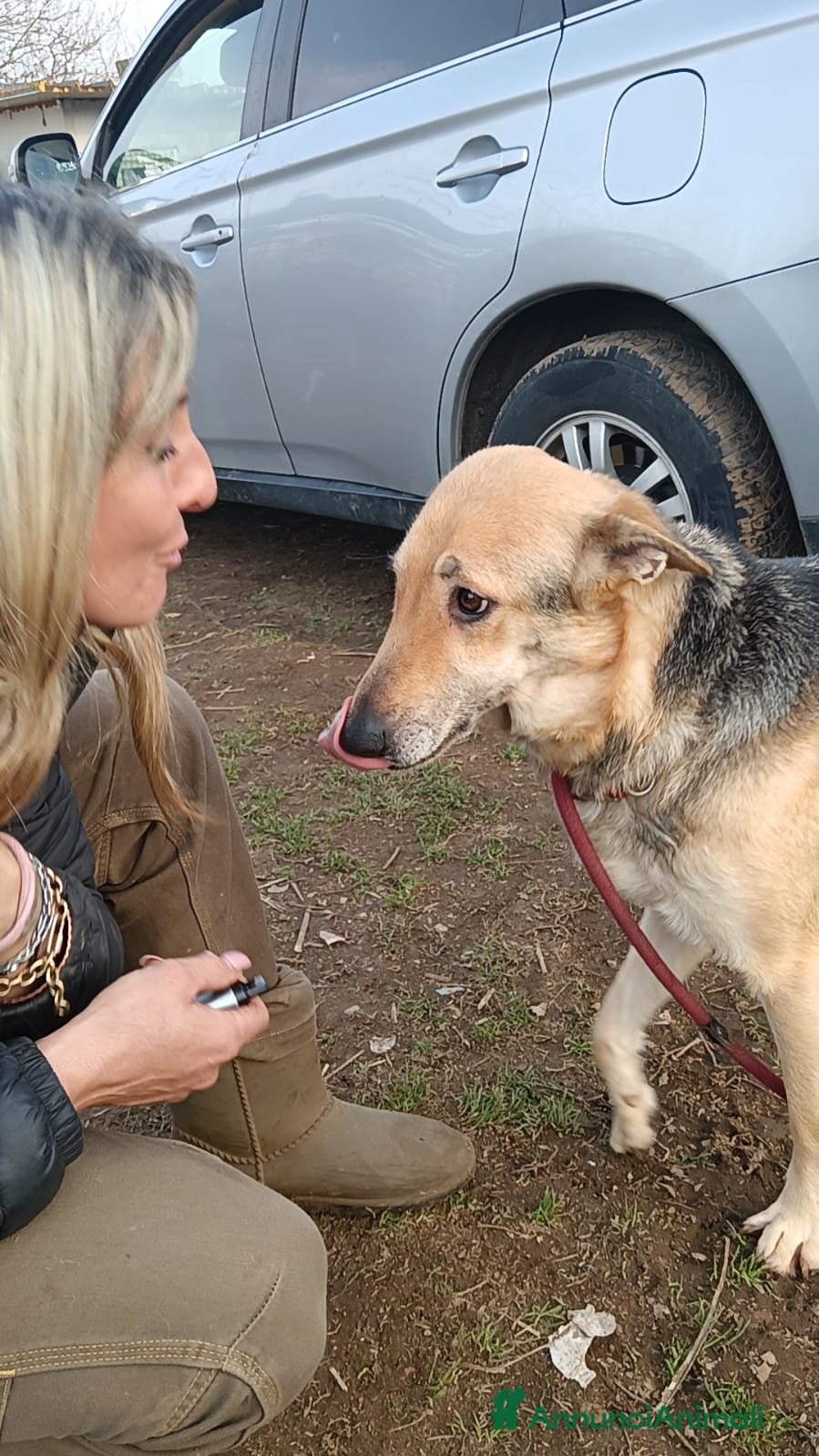 Pastore Tedesco cani NON LASCIAMOLA ASPETTARE ANCORA 🐾 - Annuncio 4
