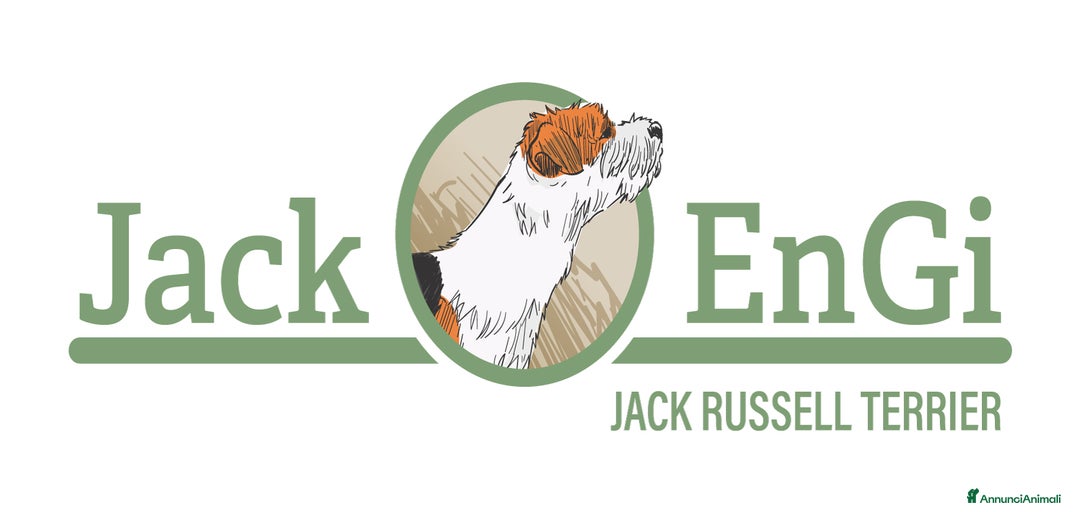 Immagine della galleria {{count}}