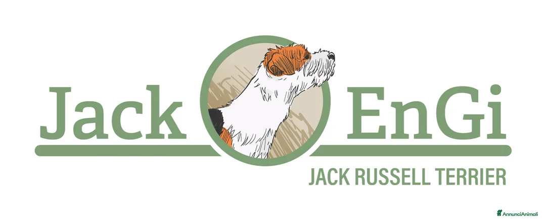 Immagine della galleria {{count}}