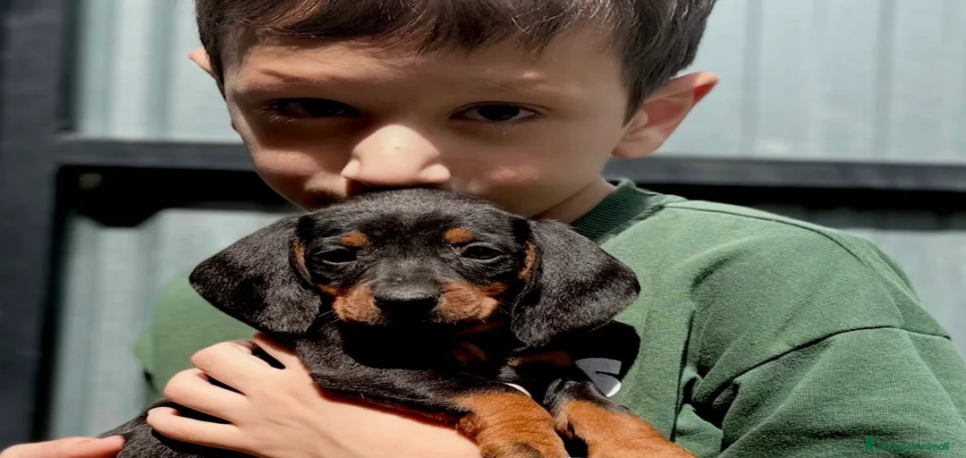 Immagine della galleria {{count}}