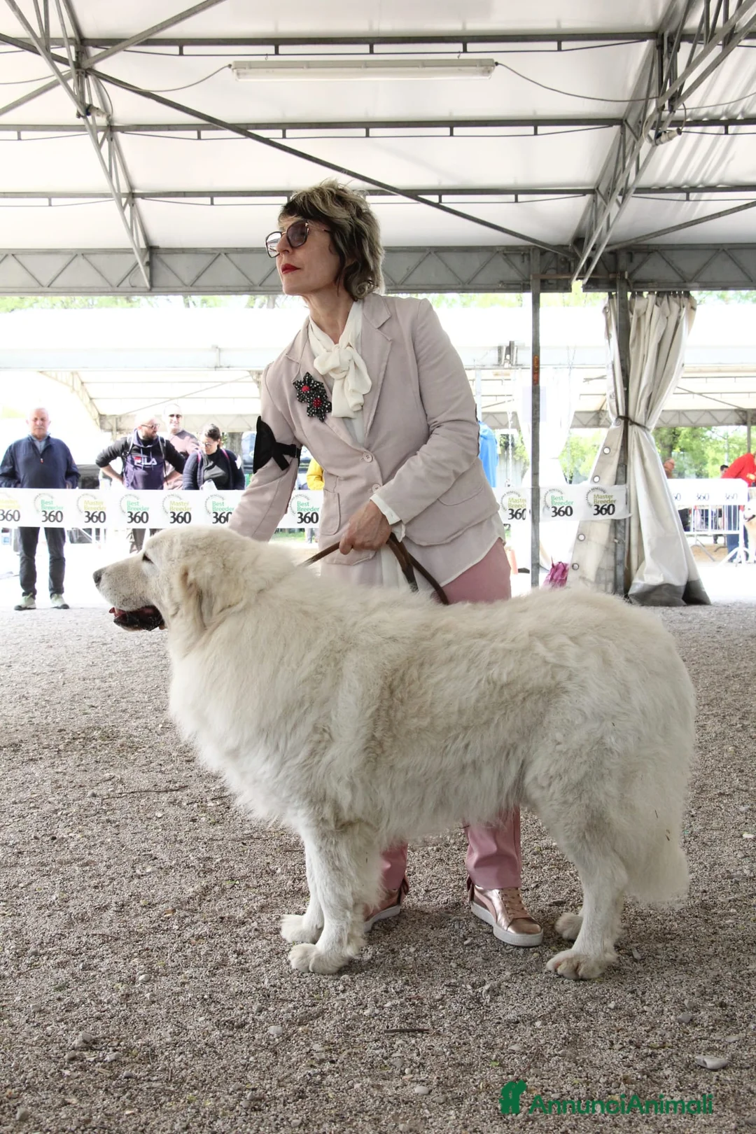 Immagine della galleria {{count}}