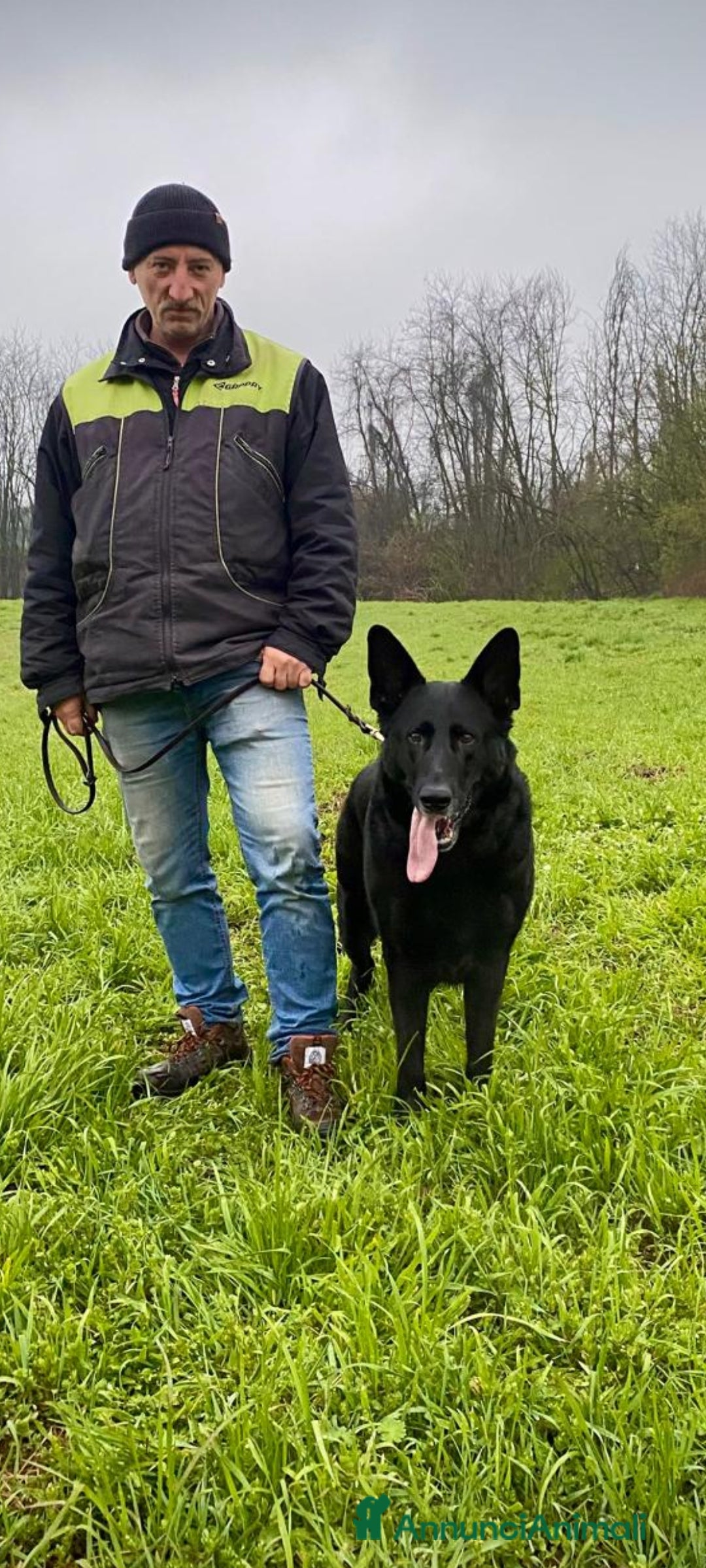 Pastore Tedesco cani in regalo: DIAGO CERCA CASA a Provincia di Lecco - Immagine 5