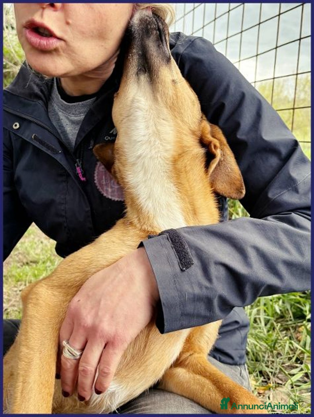 Meticcio cani in regalo: GUE' vissuto per strada tg picc. - Annuncio 5