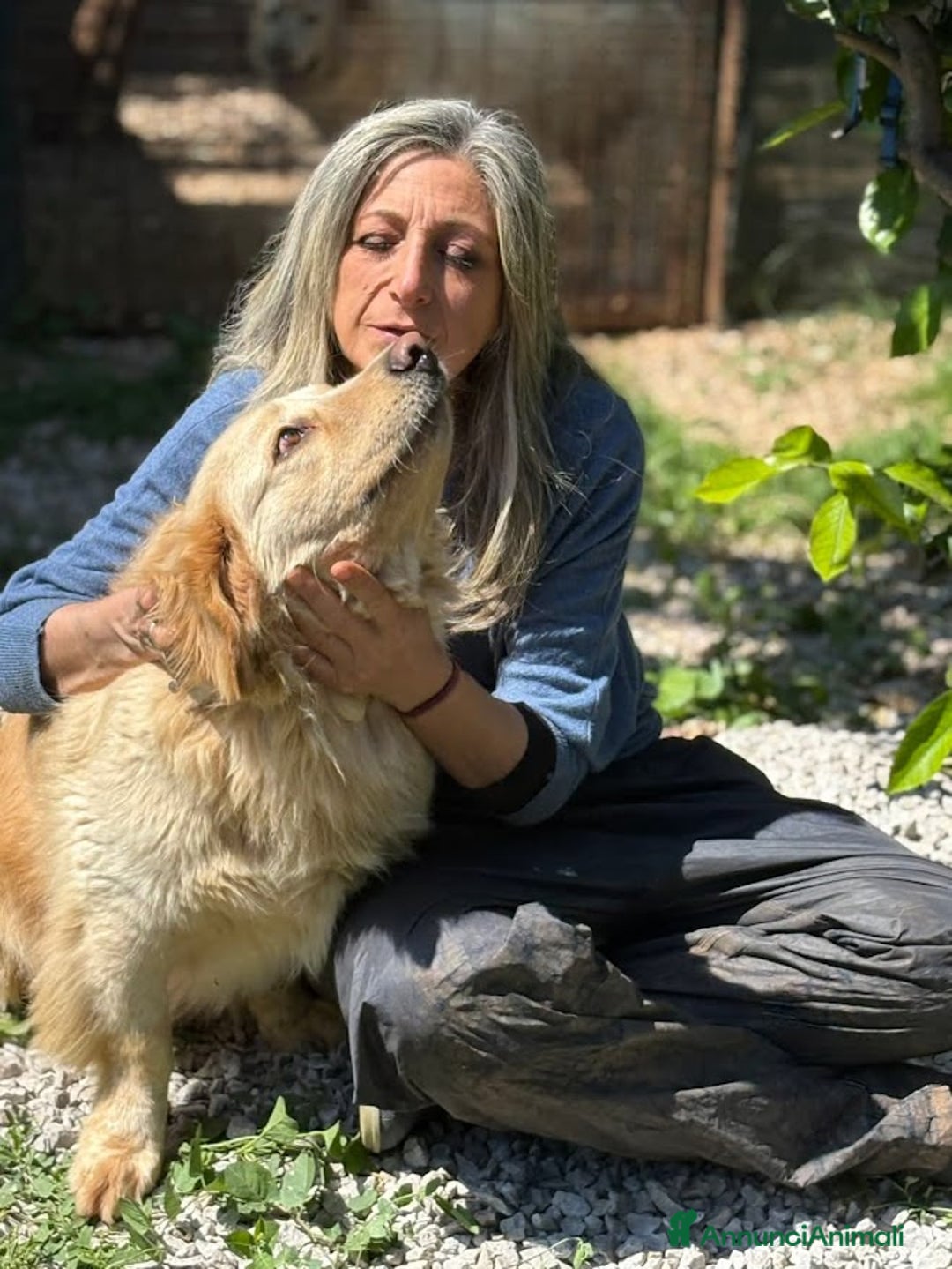 Altre razze cani in regalo: OSCAR DOLCE CANE ASPETTA CASA - Annuncio 7