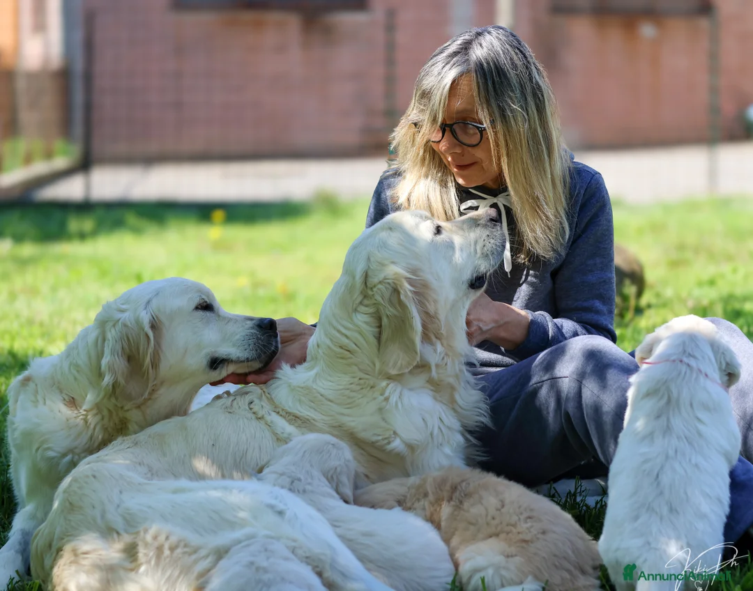 Immagine della galleria {{count}}