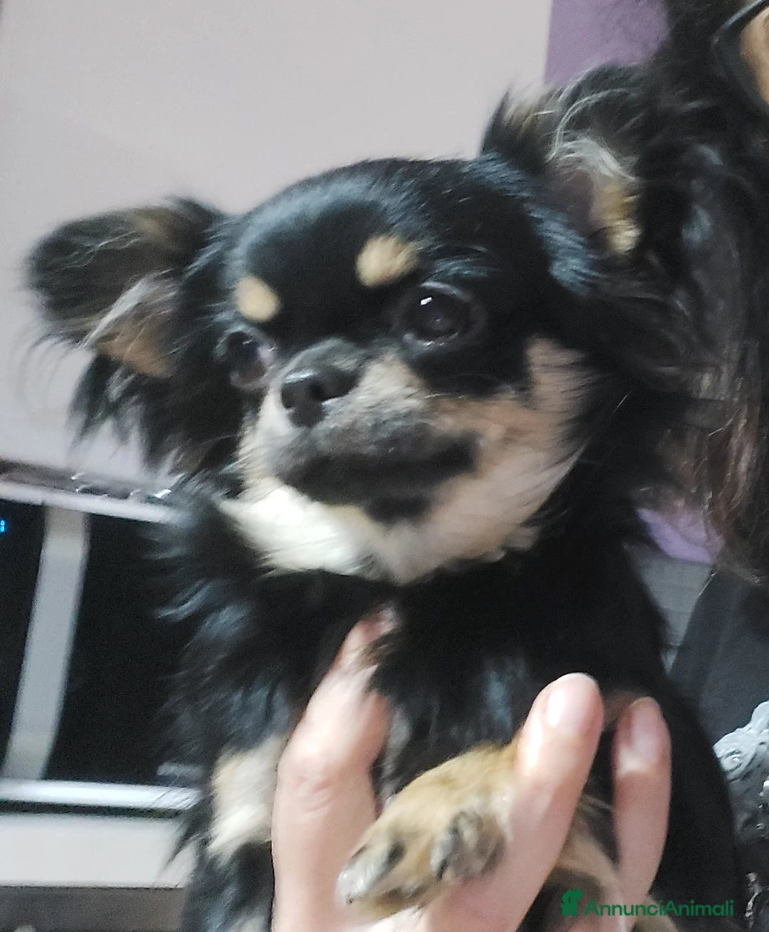 Immagine della galleria {{count}}