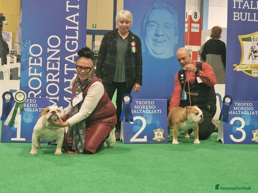 Immagine della galleria {{count}}