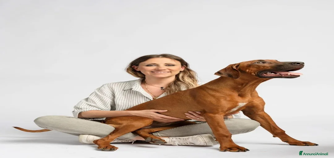 Immagine della galleria {{count}}