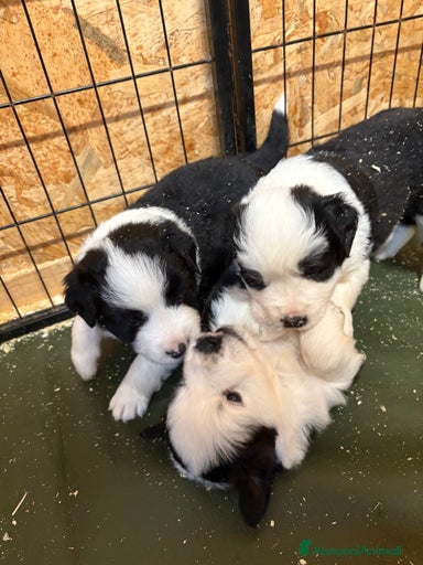 Immagine della galleria {{count}}