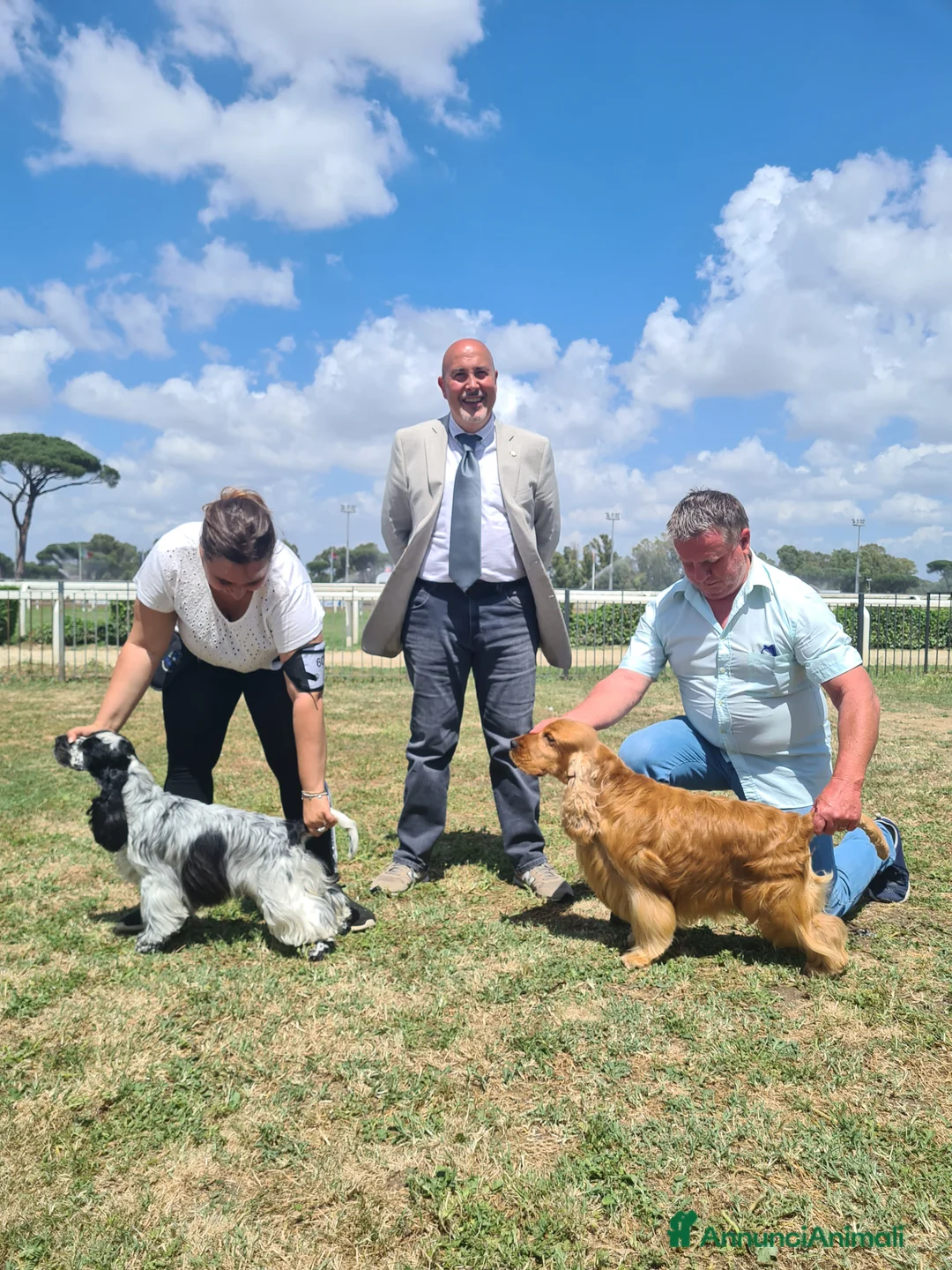 Immagine della galleria {{count}}