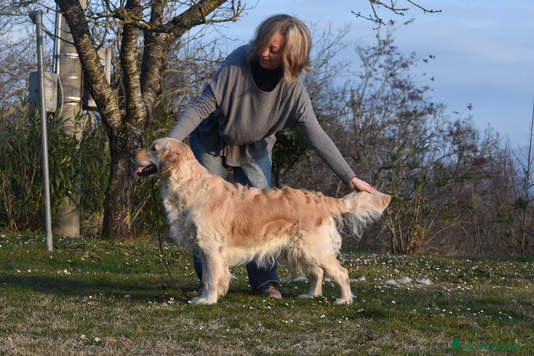 Immagine della galleria {{count}}