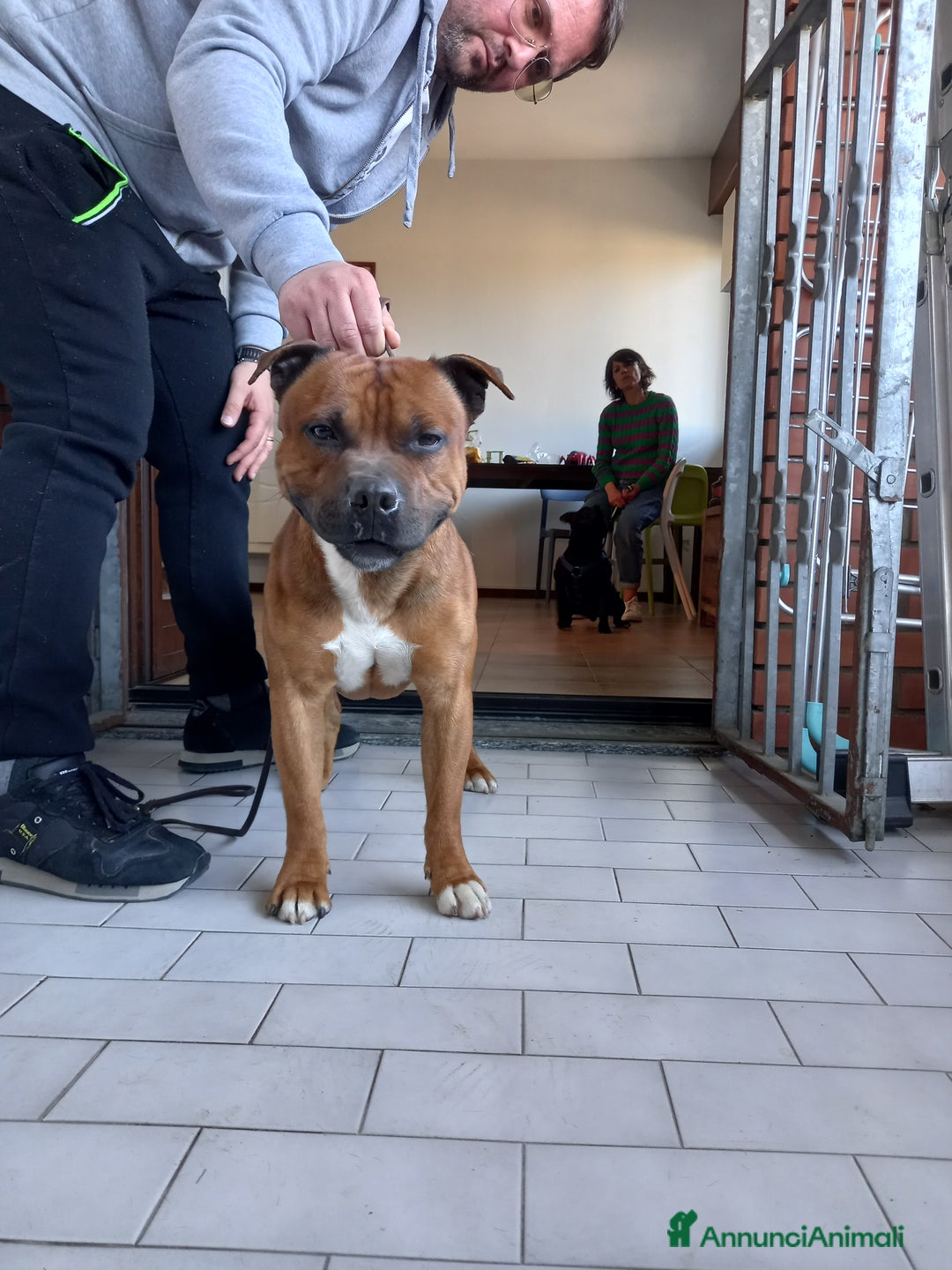 Immagine della galleria {{count}}