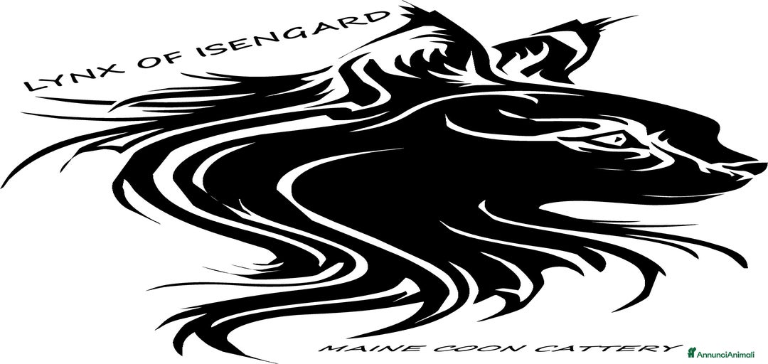 Immagine della galleria {{count}}