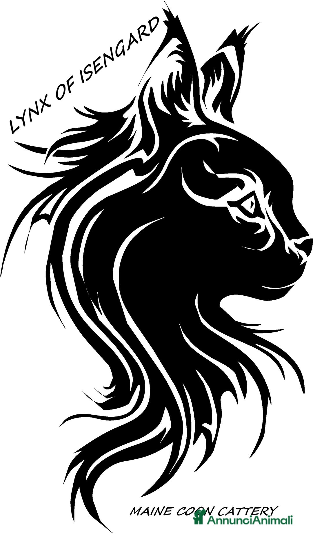 Immagine della galleria {{count}}