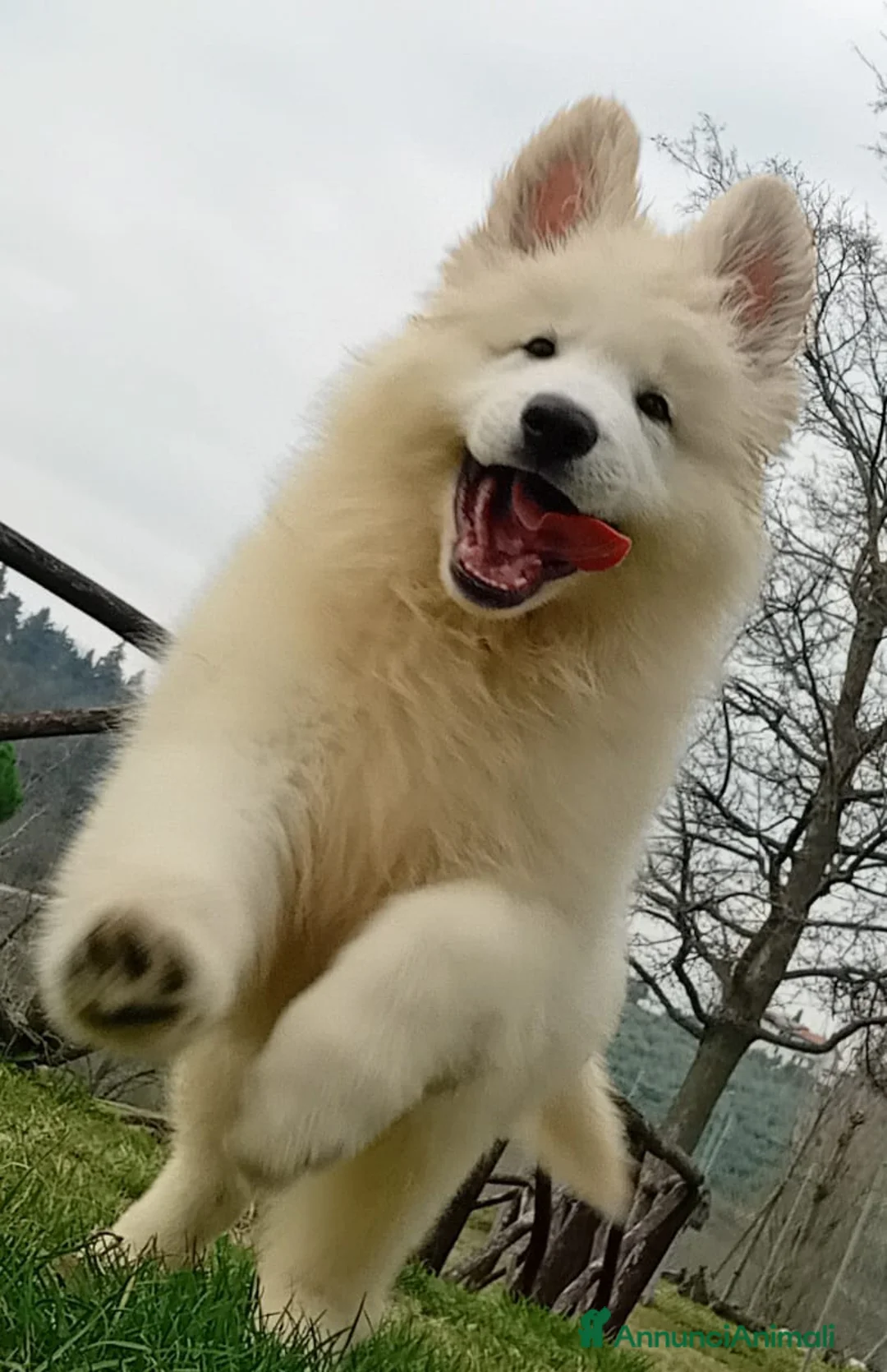 Immagine della galleria {{count}}