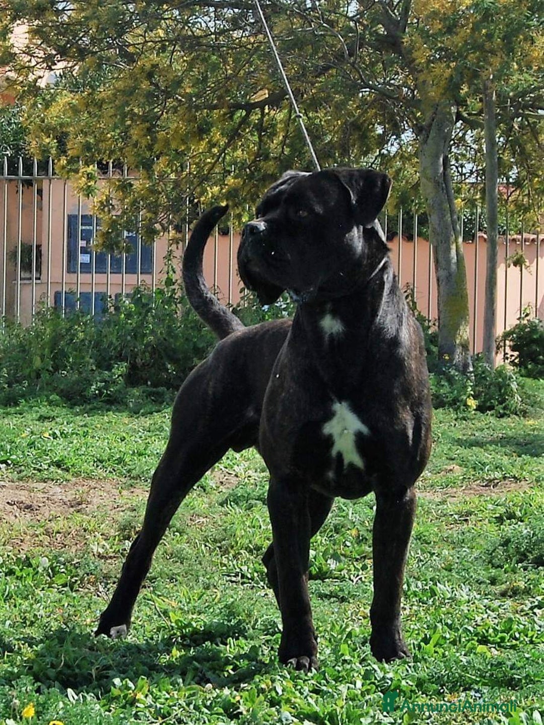 Immagine della galleria {{count}}