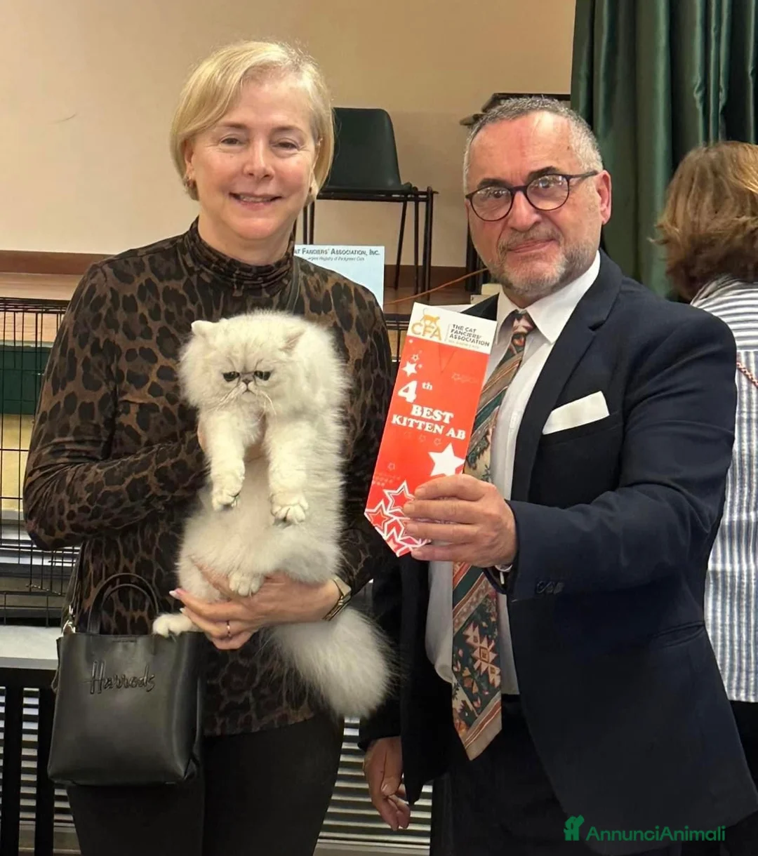 Immagine della galleria {{count}}