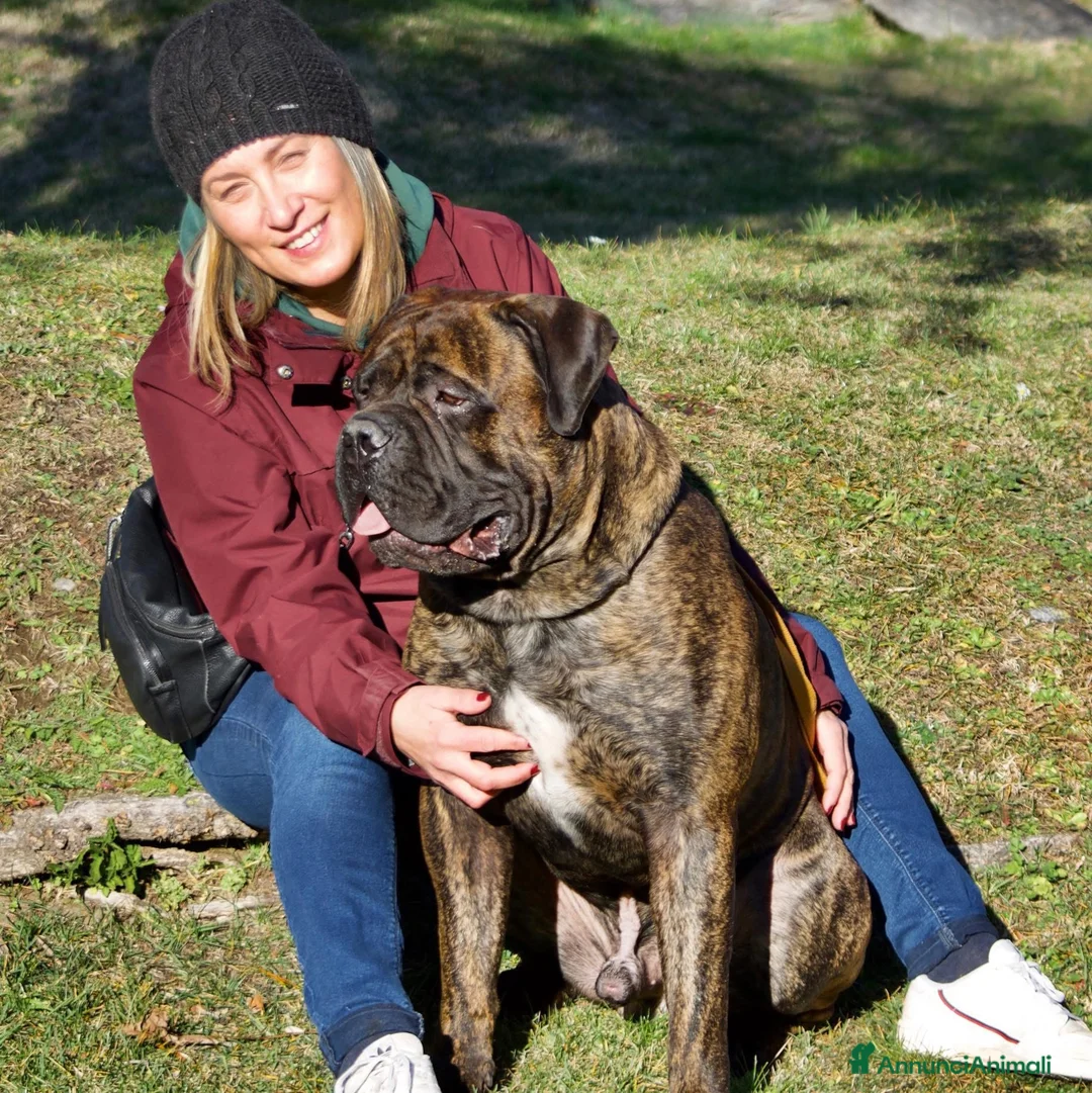 Immagine della galleria {{count}}