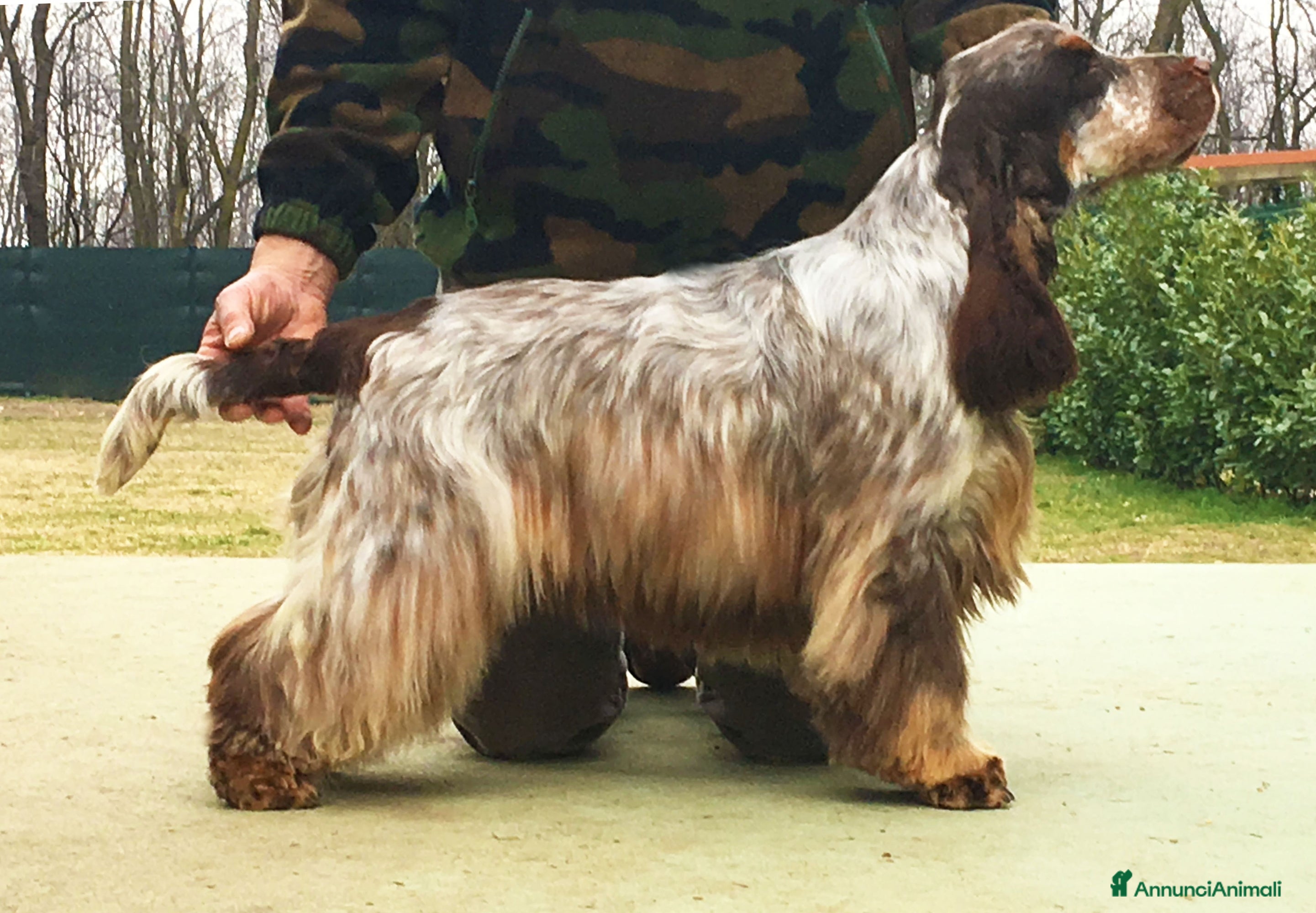 Zibibbo della lontra 
