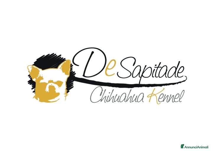 Immagine della galleria {{count}}