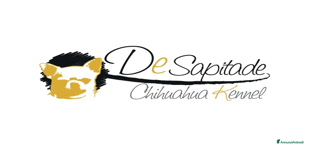 Immagine della galleria {{count}}