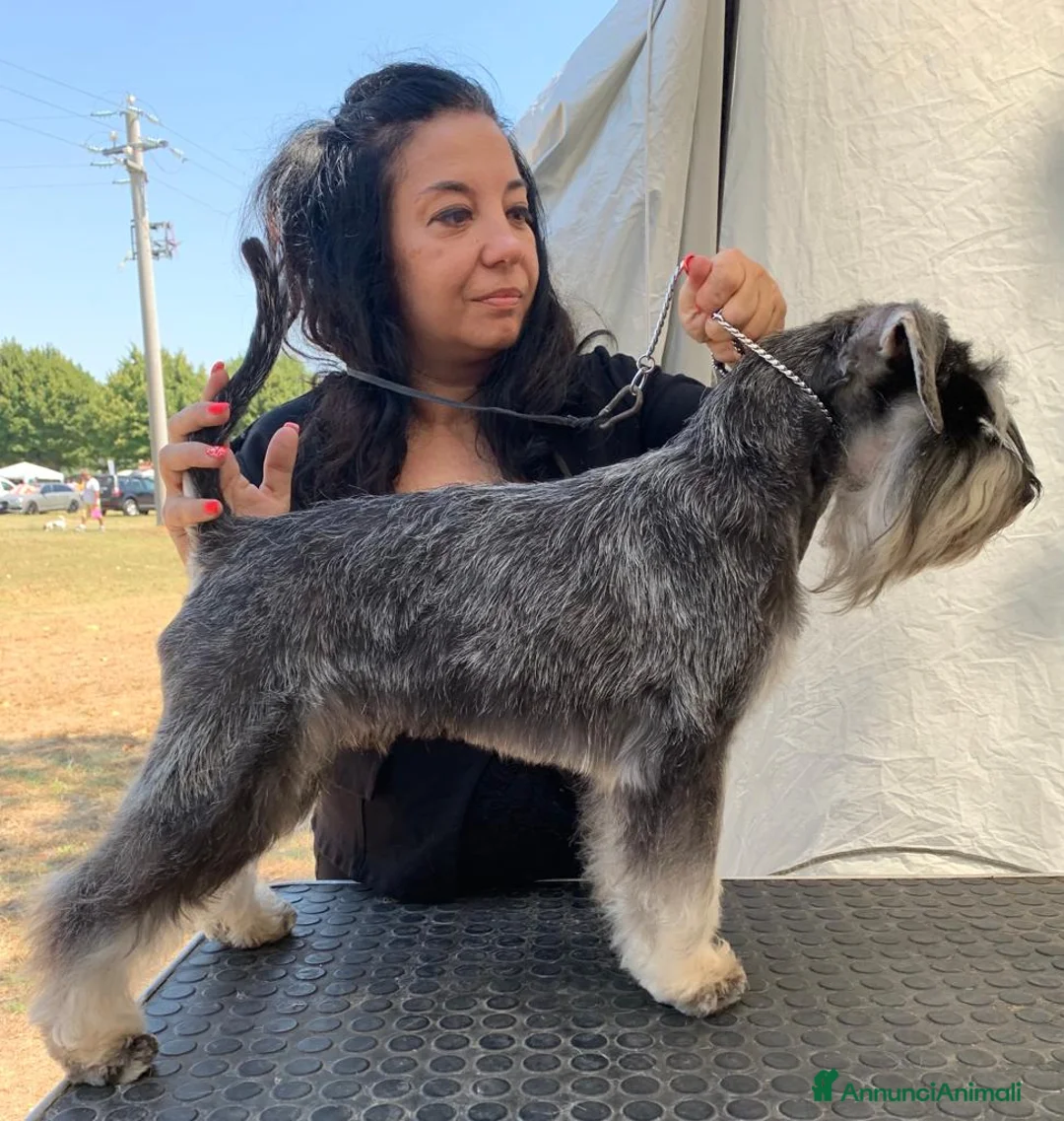 Immagine della galleria {{count}}