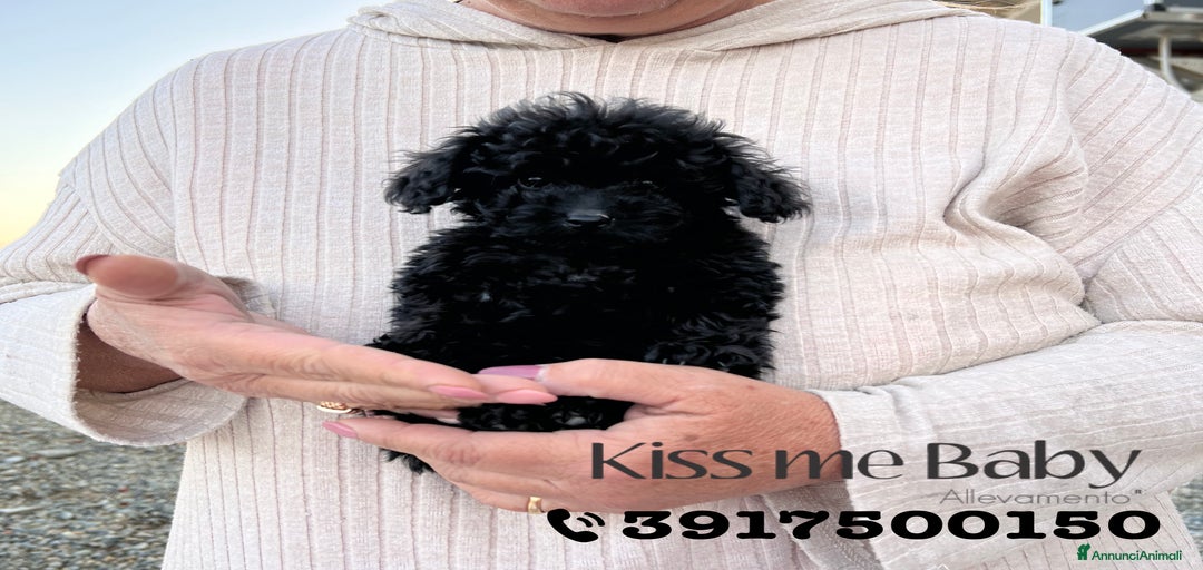 Immagine della galleria {{count}}