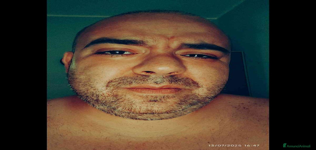 Immagine della galleria {{count}}