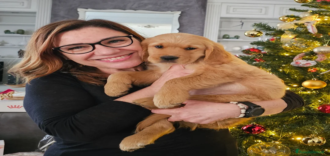 Immagine della galleria {{count}}