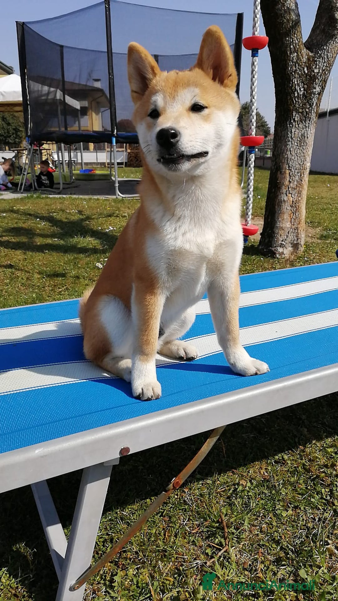 Immagine della galleria {{count}}