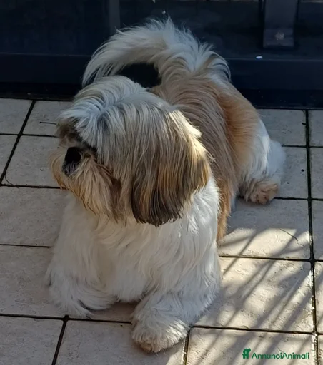 Immagine della galleria {{count}}