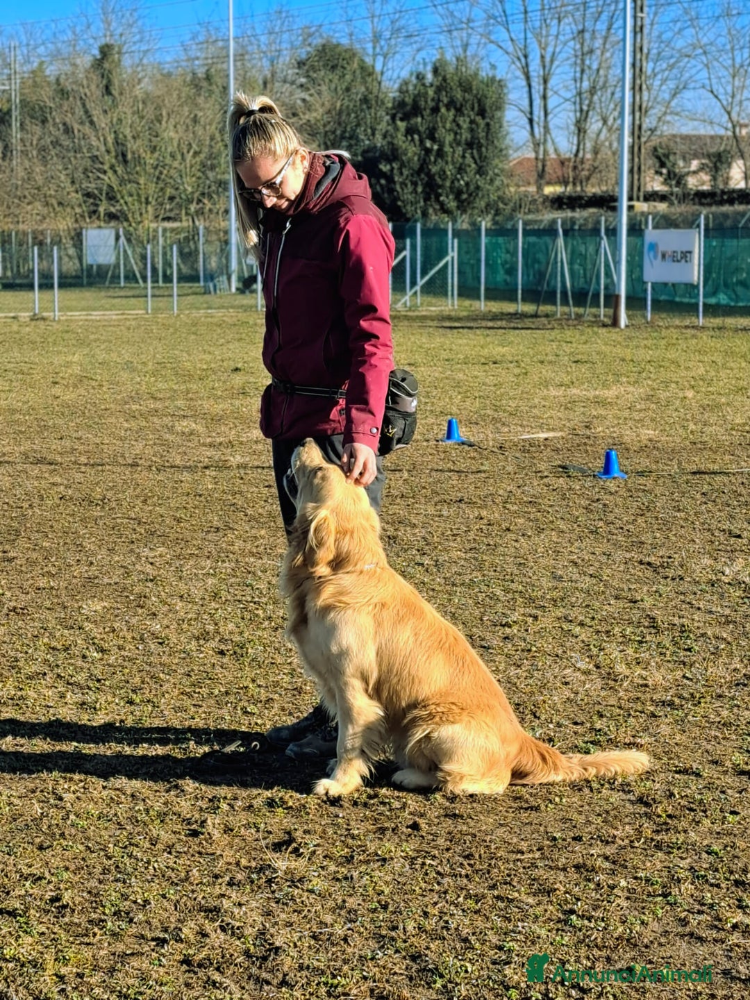 Immagine della galleria {{count}}