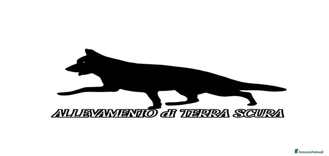 Immagine della galleria {{count}}